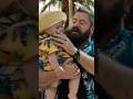 Nick Offerman explains flamingos to a baby. #MargosGotMoneyTroubles — Now Streaming