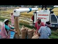 Rice harvesting || Harvestor machine