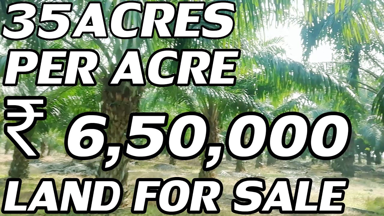 35 ACRES LAND FOR SALE PALM OIL TREES CULTIVATION LAND COST PER