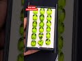 Peridots 130.50 carats #youtubeshorts