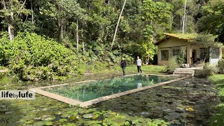 COZINHA INACREDITÁVEL! ESSA CASA NA SERRA TEM GARIMPOS INCRÍVEIS. O JARDIM IMENSO PARECE O PARAÍSO!