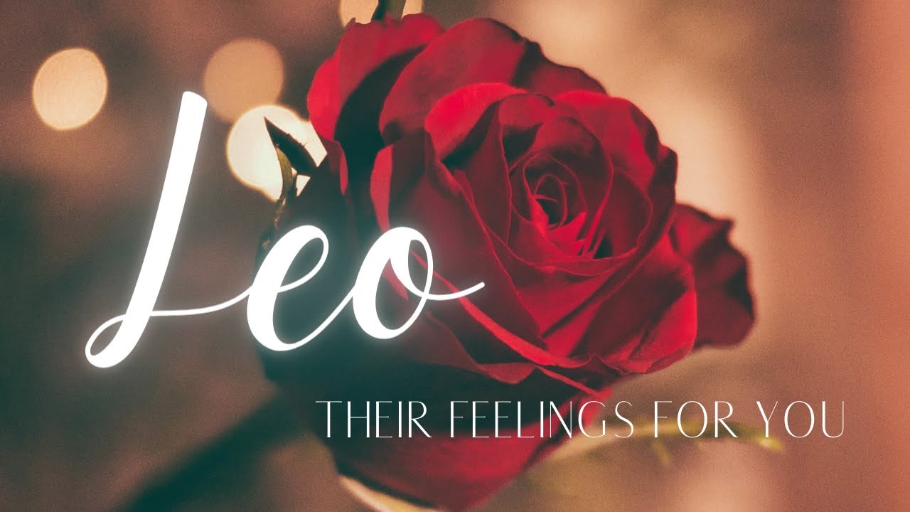 LEO LOVE TODAY  - EVERY ROAD LEADS BACK TO YOU, LEO!! A MUST WATCH!!