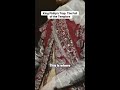 Why Friday the 13th was a trap set for the Knights Templar.