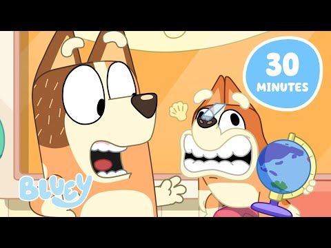 🔴LIVE: Bluey Full Episode Celebration! 🎉 | Mini Bluey, Baby Race, and More! | Bluey