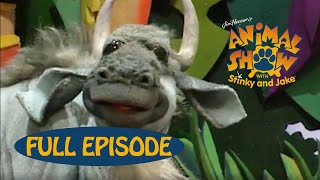 Animal Show | Turtle 🐢 / Wildebeest | Jim Henson Family Hub | Kids Cartoon