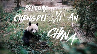 What to do in China : Chengdu & Xi'an