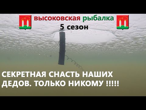 ЖЕСТЬ. ЩУКА НЕ ЖАЛЕЕТ МАЛЬКА. МОНСТРЫ ПОДМОСКОВЬЯ. Ловля щуки на жерлицы 2021