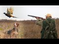 Hunting Serbia - Pheasant hunting | Lov fazana na jugu Srbije - Vlasotince | Caccia al fagiano