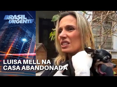 Luísa Mell fala sobre resgate de animais na mansão de Margarida Bonetti