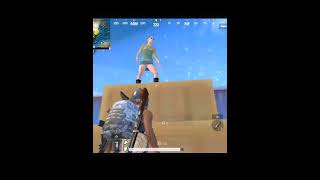 Cobraa Ali New Frnk Bot cobra Nikl Bbbb