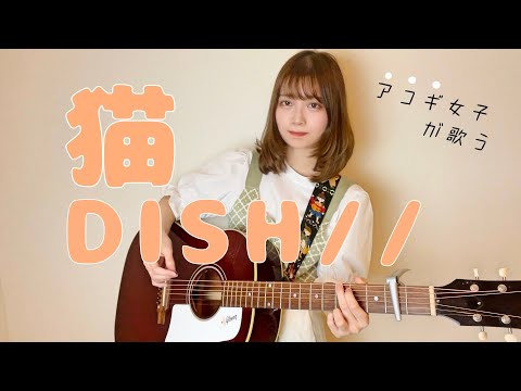 Neko (CAT)  猫 -  DISH// (cover by 近藤真由) Aimyon