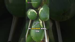 Papaya: The Exotic Bread Tree #shorts  #healthyfood #antioxidant