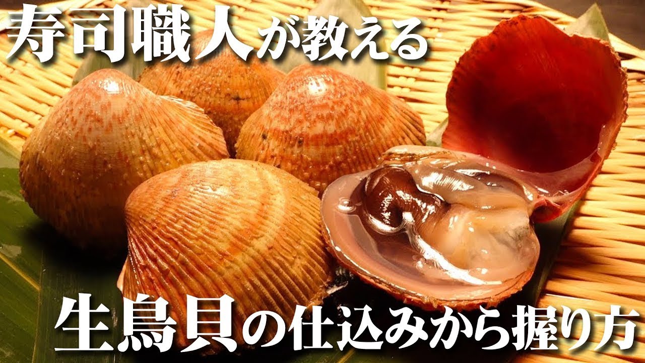 生鳥貝 寿司の仕込み】肉質で歯応えバッチリの生鳥貝を寿司職人が握る