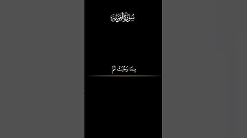 الشيخ أبو بكر الشاطري، سورة التوبة