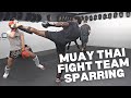 Muay thai fight team sparring