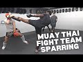 Muay Thai Fight Team Sparring