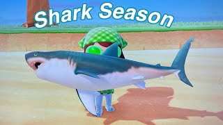 SHARK SEASON! *Animal Crossing New Horizons*