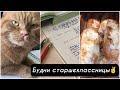 Учёба в 11 классе | Vlog#1