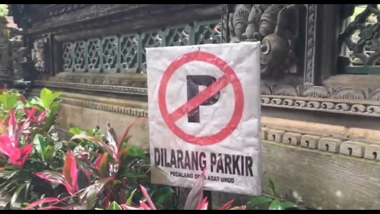 "The Beauty Of Ubud" | Tourism Project