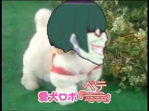 寵愛ロボ「ペテ」