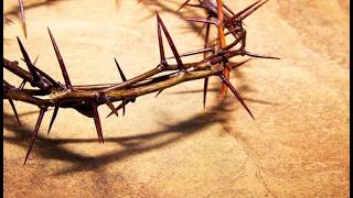 Mass of the Cross - Misa de la Cruz - Live Stations presented by the Youth/ Estaciones en Vivo!