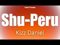 Kizz Daniel - Shu-Peru (Audio)