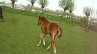 DSCN2415