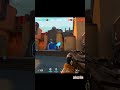 you will not kill my allies lol😂| valorant clip