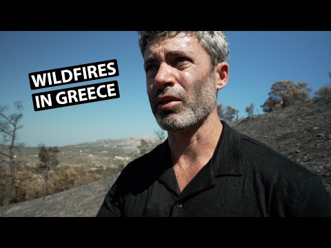 Wildfires destroyed much of this popular Greek island