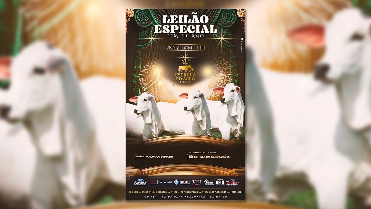 LEILÃO GADO DE CORTE ESTRELA DO AGRO LEILÕES  FAINA-GO 28/12/2025 | Leilão ao Vivo - Leilão de Gado