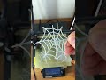 Spider web decoration for Halloween (reupload - printables:83024) #halloween #3dprinting #decoration