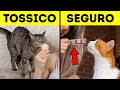 16 Fatti che gli Animali Preferiscono Tenere Segreti da Te