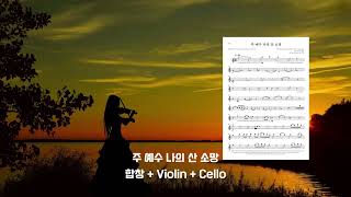 주 예수 내 산 소망 (Violin) - Phil Wickham, Brian Johnson