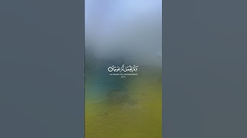 ما تيسر من سورة الكهف... اكتب شيئ تؤجر عليه ✨🌹