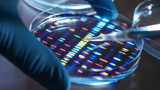 23andMe users urged to delete personal data as company faces bankruptcy