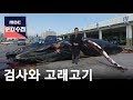 검사와 고래고기 [FULL] -prosecutor and whale meat-18/02/20-MBC PD수첩 1143회