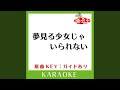 夢見る少女じゃいられない カラオケ 原曲歌手 相川七瀬 夢見る少女じゃいられない カラオケ 原曲歌手 相川七瀬