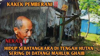Kakek Pemberanitinggal Sebatang Kara Di Tengah Hutansering Di Datangi Mahluk Ghaib