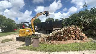 Huge Firewood Pile Loading with my Cat 305 mini Excavator by Alex Catalina 95 views 1 year ago 10 minutes, 24 seconds