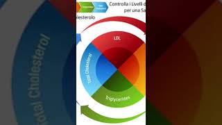 Valutazione del rapporto trigliceridi/HDL