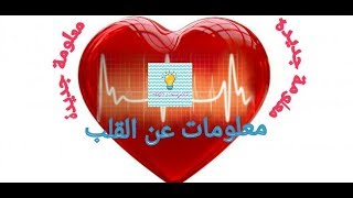 معلومات عن قلب الإنسان | ❤