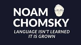 Chomsky:  Language Is Grown.  Against Language Learning.
