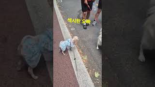 그래오빠 챌린지!~^^♡가족심리상담 화곡 우장산♡