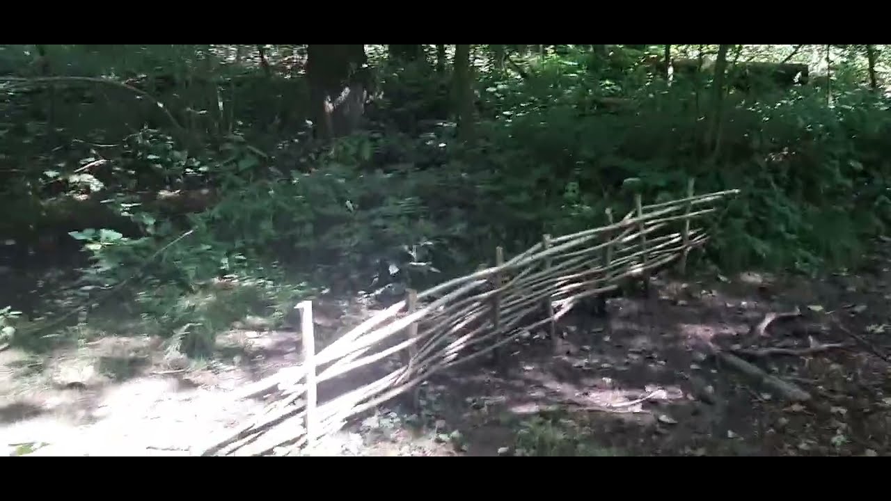 Ohey Namur Belgium Walk in the Woods Boswandeling Promenade Forêt River Relaxing Outdoor