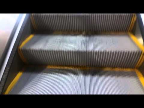 Abandom - The