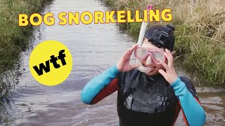 We Try Bog Snorkelling • WTF Britain