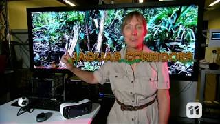 Scope TV: VR Conservation