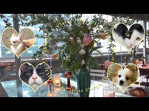 3월의 일상 브이로그 (feat.러브 아일랜드) | 을지로 탐방기 ( with 폴리키 반달곰 ) | 유에서유/애프터저크오프/원주 맛집 미미미/배떡