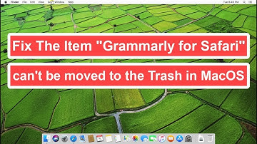 Fix The Item "Grammarly for Safari" can