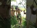 Tribu Sarampiting..for fun only